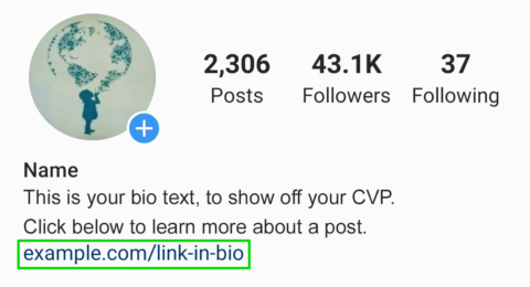 biolink instagram